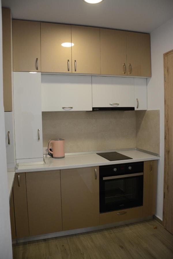 Luxury Panorama Apartament,Coresi Brașov Exterior foto